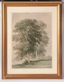 Gabriele Smargiassi, Landscape with trees, in frame signed. Condition: good