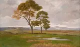 Enrico Ortolani, After the rain