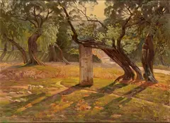 Edoardo Tani, Olive trees