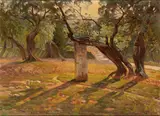 Edoardo Tani, Olive trees