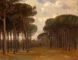 Napoleone Parisani, Fregene pinewood, 1918