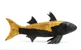 Gaetano Pompa, Fish