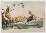 Godefroy Engelmann, Goats playing, 1820, Lithograph