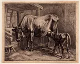 Johann Adam Klein, Cow suckling a calf, 1817, Etching