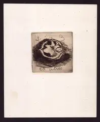 Ex libris with split walnut by Luigi Bartolini, Etching on chine-collé, offered Apr 2025