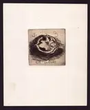 Luigi Bartolini, Ex libris with split walnut, Etching on chine-collé