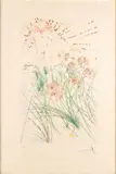 Io sono della mia amata, e la mia amata è mia - from Solomon's Song of Songs by Salvador Dalí, Etching with stencil colouring, offered Apr 2025