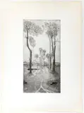 Federica Galli, Tree-lined road, 1958, Etching