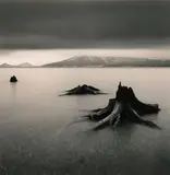 Tree Remains by Michael Kenna, 1996, Black and white gelatine silver print Cm, offered Apr 2025