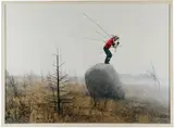 Janne Lehtinen, Sacred bird, 2004, Vintage C-Print mounted on aluminium Cm