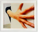 Daniele Puppi, Fatica #26 (Frammento), 2004, Retouched colored photography Cm