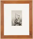 Minor White, Twisted tree