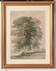 Gabriele Smargiassi, Landscape with trees, in frame signed. Condition: good