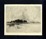 Frank Burridge, Oxcliffe Marsh - Le paludi di Oxcliffe, nel Lancashire - UK ; 1900, etching stampa on paper ink