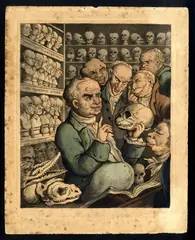 Thomas Rowlandson, (il medico tedesco), Franz Joseph Gall discute con i colleghi, all'interno di una sala anatonica, etching con coloritura coeva