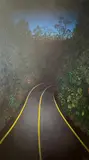 Victor Mahana, Carretera III, 2016, Mahana's work is characterised by an innovative and multidisciplinary approach. With roots in the artistic tradition