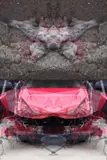 Mauro Cuppone, Rorschach (Crash) Test #1ac. Diptych, 2013, Each work has a limited edition of