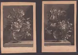 Jacobus Coelemans, Vases with flowers, Lot of two prints after Nicolas Baudesson. Etching and engraving