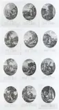 William Hamilton, Twelve months, Lot of