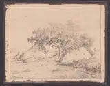 Théodore Rousseau, Le Cerisier de la plante a Biau