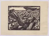 Duilio Cambellotti, Legnara by the sea, Woodcut