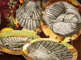 Piero Fornasetti, Series of six porcelain plates, Conchyliorum, 1950-1955