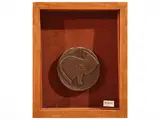 Pietro Gallussi, Bronze medal