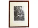 Ernesto Rayper, September near Rivara, etching