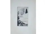 Francesco Chiappelli, Landscape, engraving