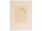 Aldo Salvadori, Ni nardos ni caracolas 1978, lithograph