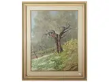 Ferruccio Pizzanelli, Olive grove, oil on cardboard