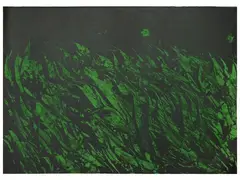 Mattia Moreni, Campo notturno 1971, lithograph