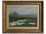 Alberto Zardo, Panni al sole