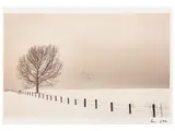 Antonio Lo Torto, Croatia 1998, scan from Agfa Scala slide