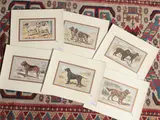 Paul Mahler, Dog Breeds (1907), six lithographs