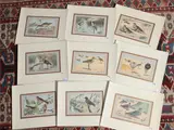 Paul Mahler, Birds (1907), nine lithographs