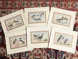 Paul Mahler, Birds (1907), six lithographs