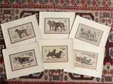 Paul Mahler, Dog Breeds (1907), six lithographs
