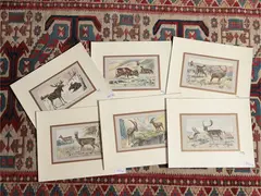 Deer (1907) by Paul Mahler, six lithographs, offered Dec 2024