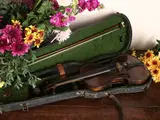 Jérome Thibouville Lamy, Violin, in its case
