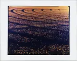 Carlo Valsecchi, #0485 (dalla serie San Luis), 2007, Digital printing on plexiglass applied to hardboard