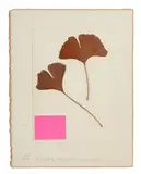 Bruna Esposito, Senza titolo, 2009, Pencil and collage on cardboard