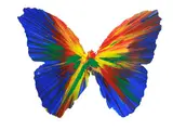 Butterfly by Damien Hirst, 2009, Acrylic on paper, offered Nov 2025