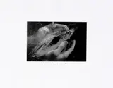 Duane Stephen Michals, Untitled