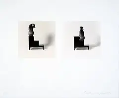 Second and Third Steps (Diptych) by William Wegman, 1989, No., offered Nov 2025