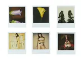 Untitled by Nobuyoshi Araki, Unique lot of, offered Nov 2025