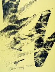 Héctor Arce-Espasas, No, these are not paintings they are pineapple decor, 2011, Silkscreen and acrylic on canvas