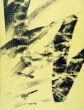 Héctor Arce-Espasas, No, these are not paintings they are pineapple decor, 2011, Silkscreen and acrylic on canvas