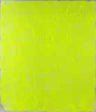 Evan Nesbit, Porosity (Safety Yellow), 2014, Acrylic