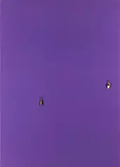 Paul Cowan, Untitled, 2014, Canvas and fishing line